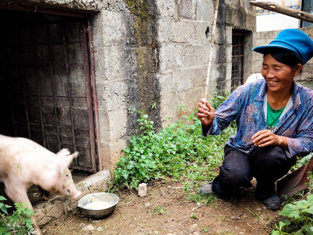 Beneficiary and her pig