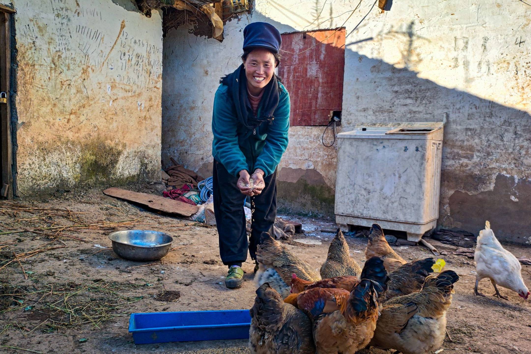 A woman feeding chickens in her yard, surrounded by a warm and inviting atmosphere.