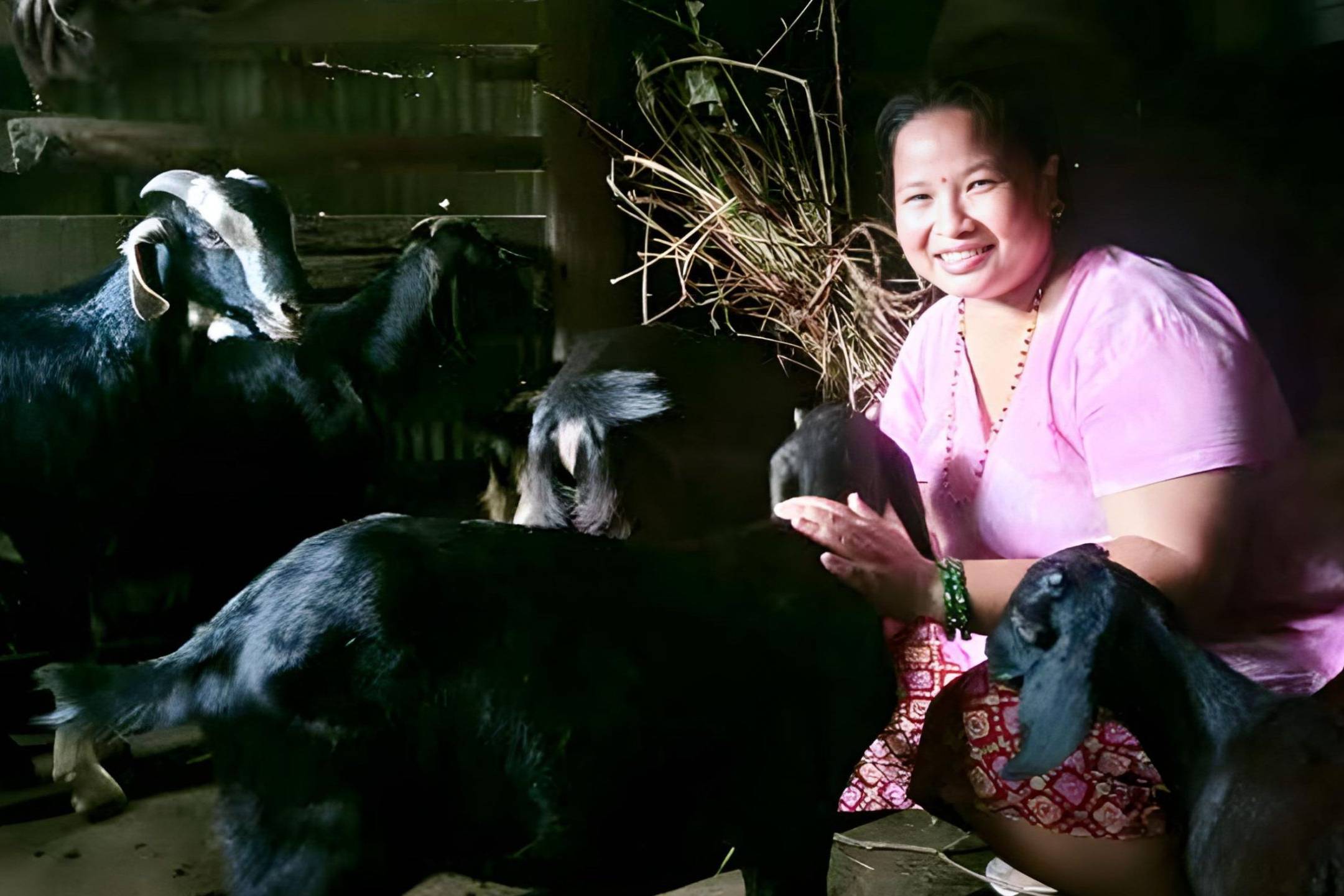 A woman smiles while sitting amongst her goats.