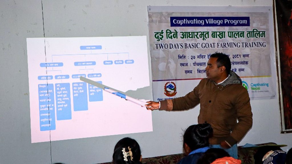 A man presenting in front of a large screen, engaging the audience with visual aids and clear communication.