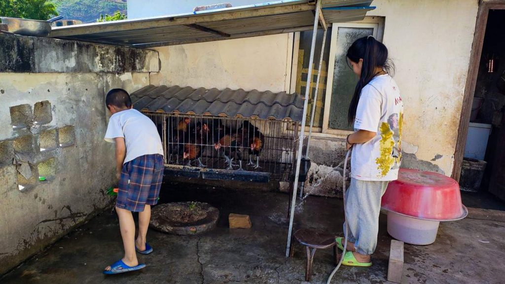 A woman and a child are feeding chickens inside a cage, surrounded by a natural outdoor setting.