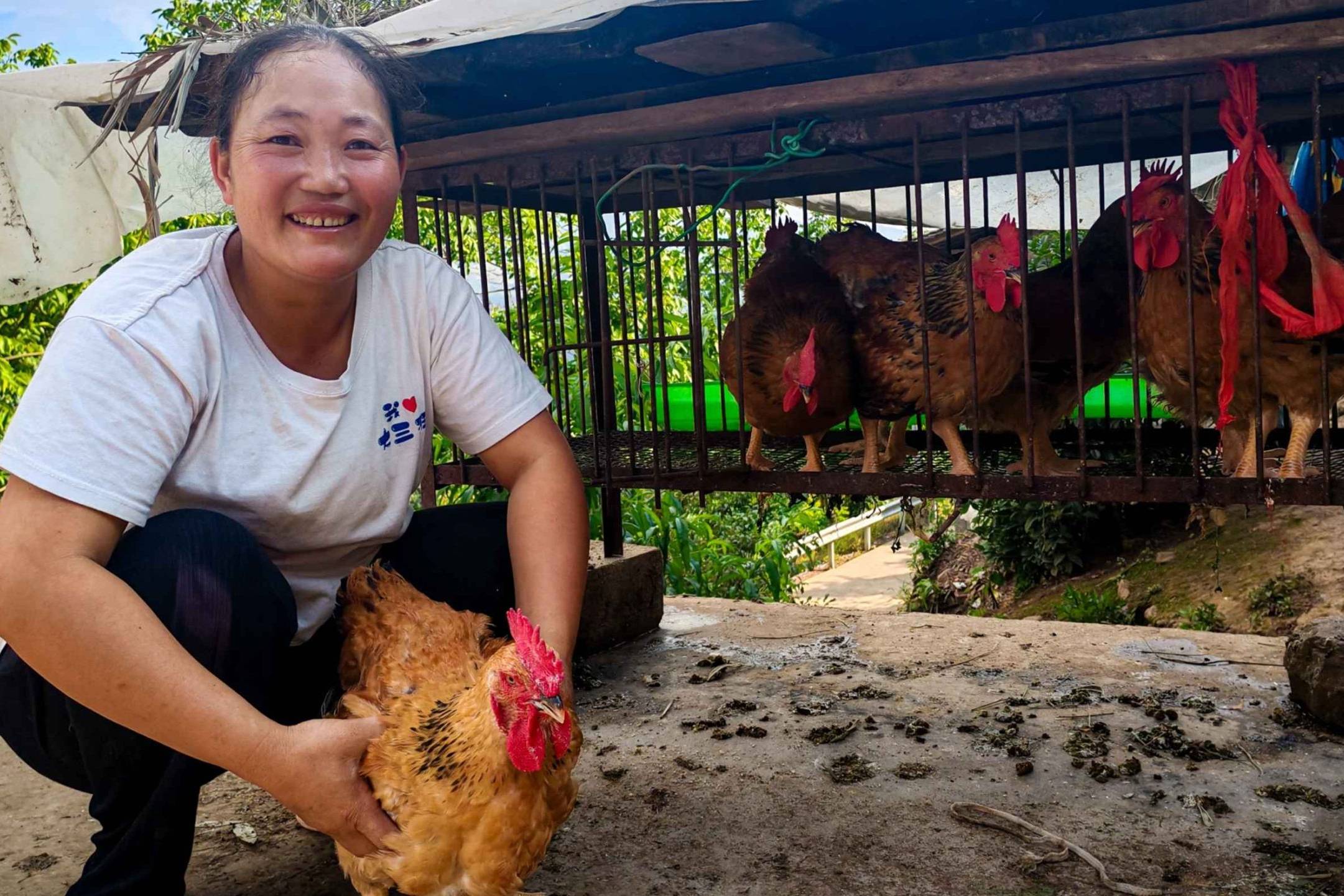 A woman holds a chicken in front of a cage.