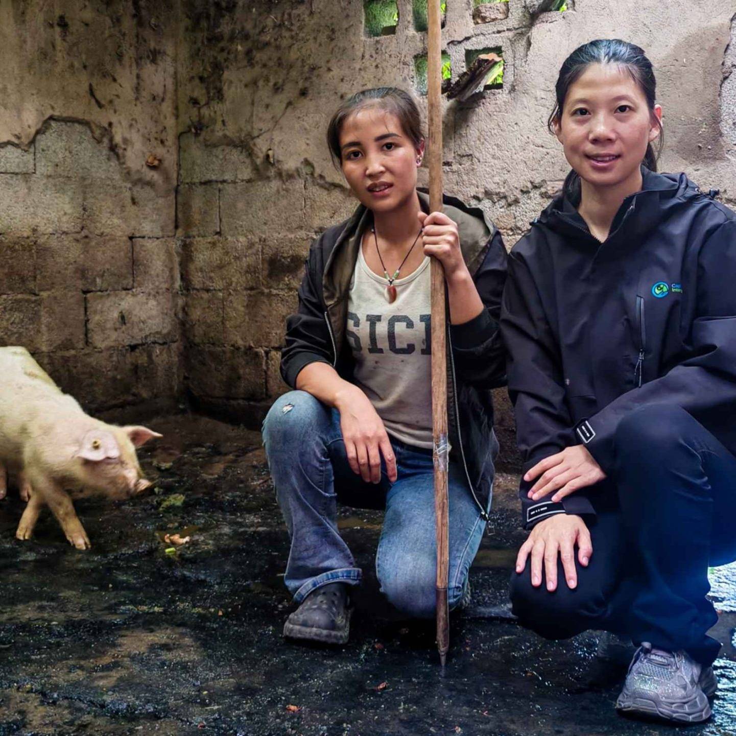 Two women squat in a rustic pigsty, one holding a stick. A small pig walks nearby.