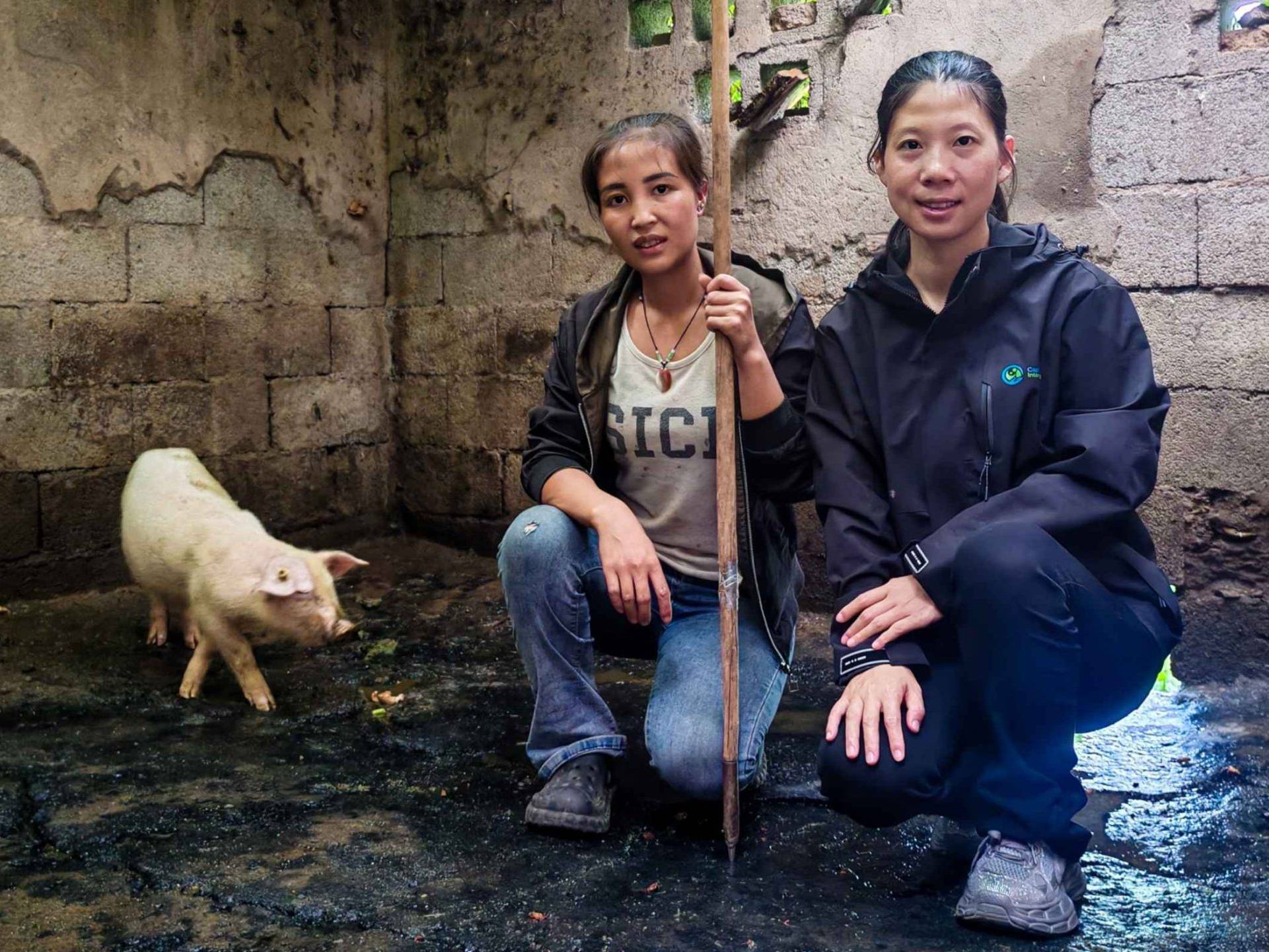 Two women squat in a rustic pigsty, one holding a stick. A small pig walks nearby.
