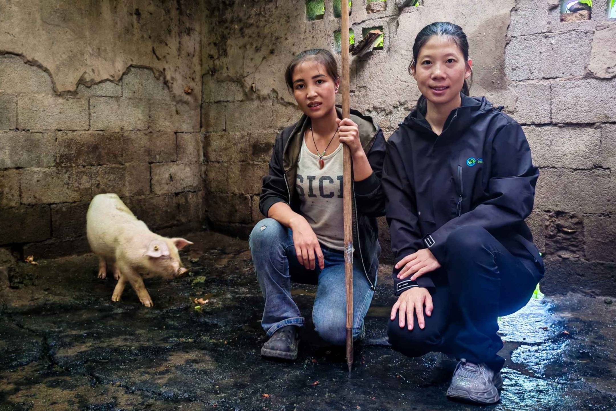 Two women squat in a rustic pigsty, one holding a stick. A small pig walks nearby.
