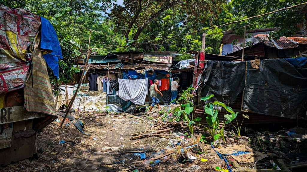 A makeshift neighborhood with patchwork shelters under dense trees. 