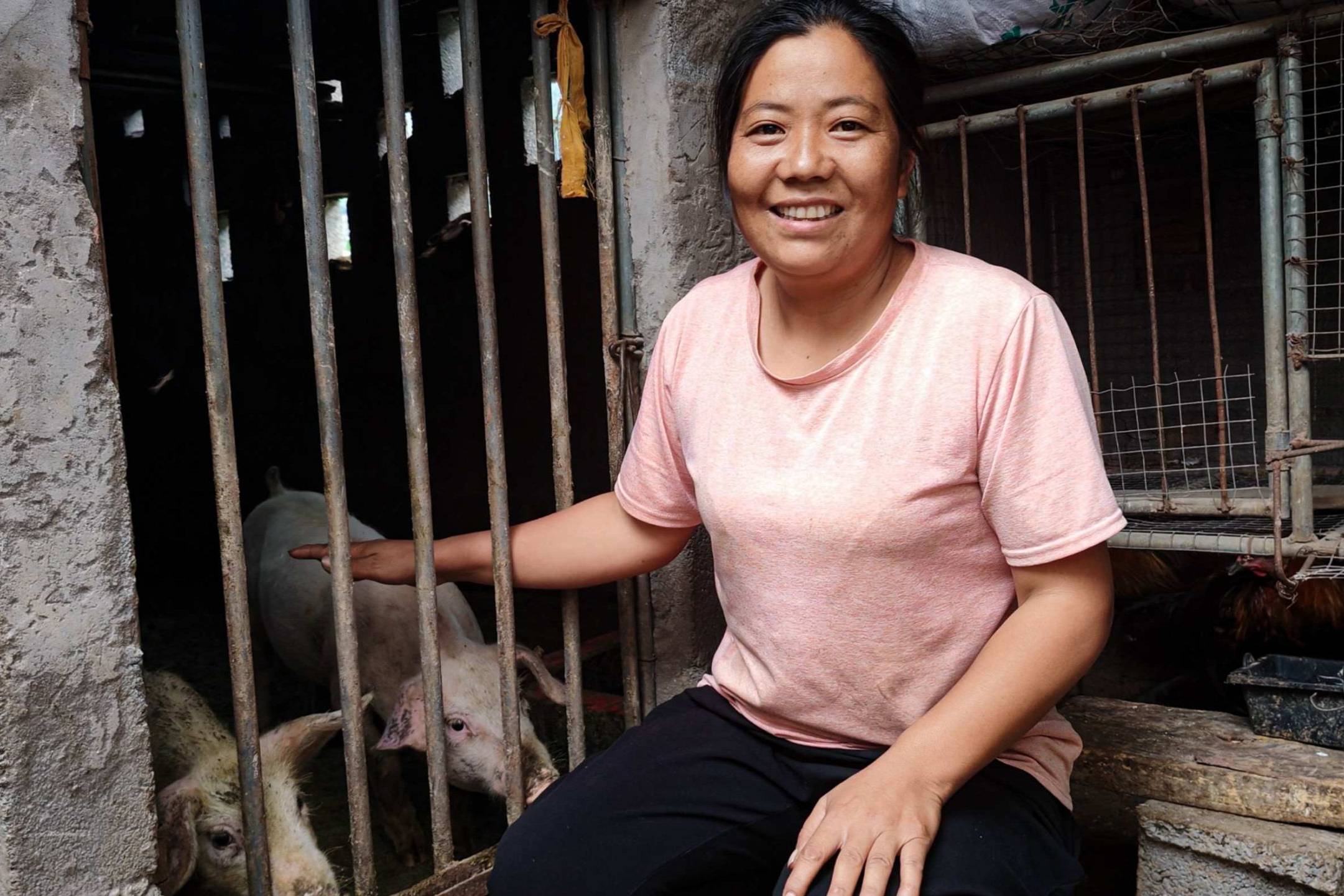 A woman in a pink shirt smiles warmly, sitting beside a pigpen with pigs inside.