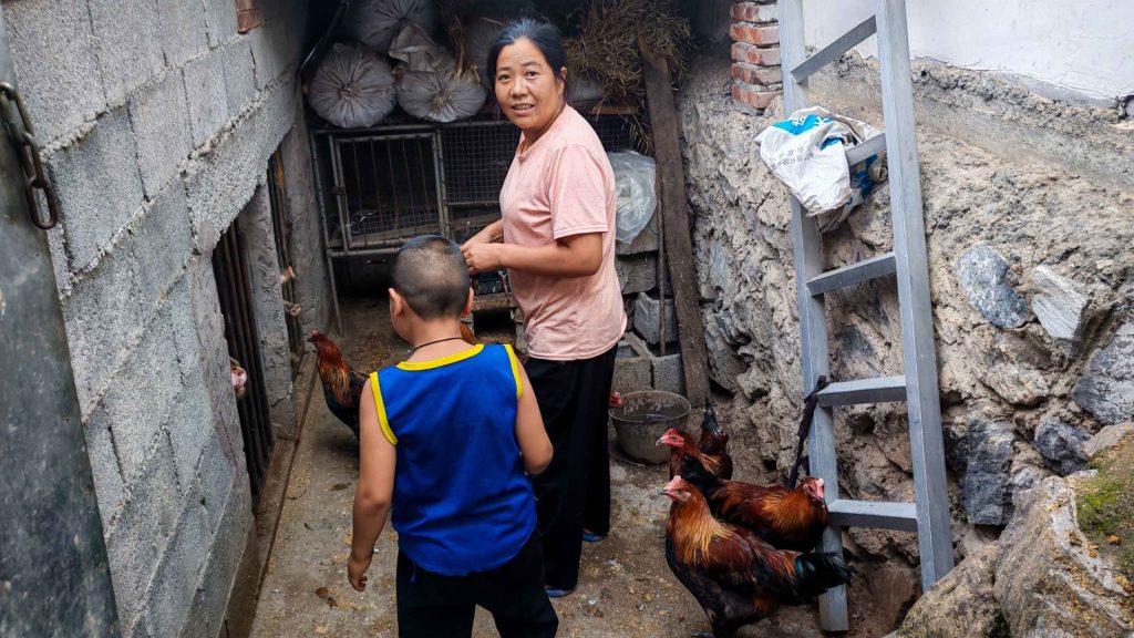 A woman and a child stand in a small, rocky outdoor area with chickens. The woman wears a pink shirt, and the child is in a blue tank top. Bags and a ladder are nearby.