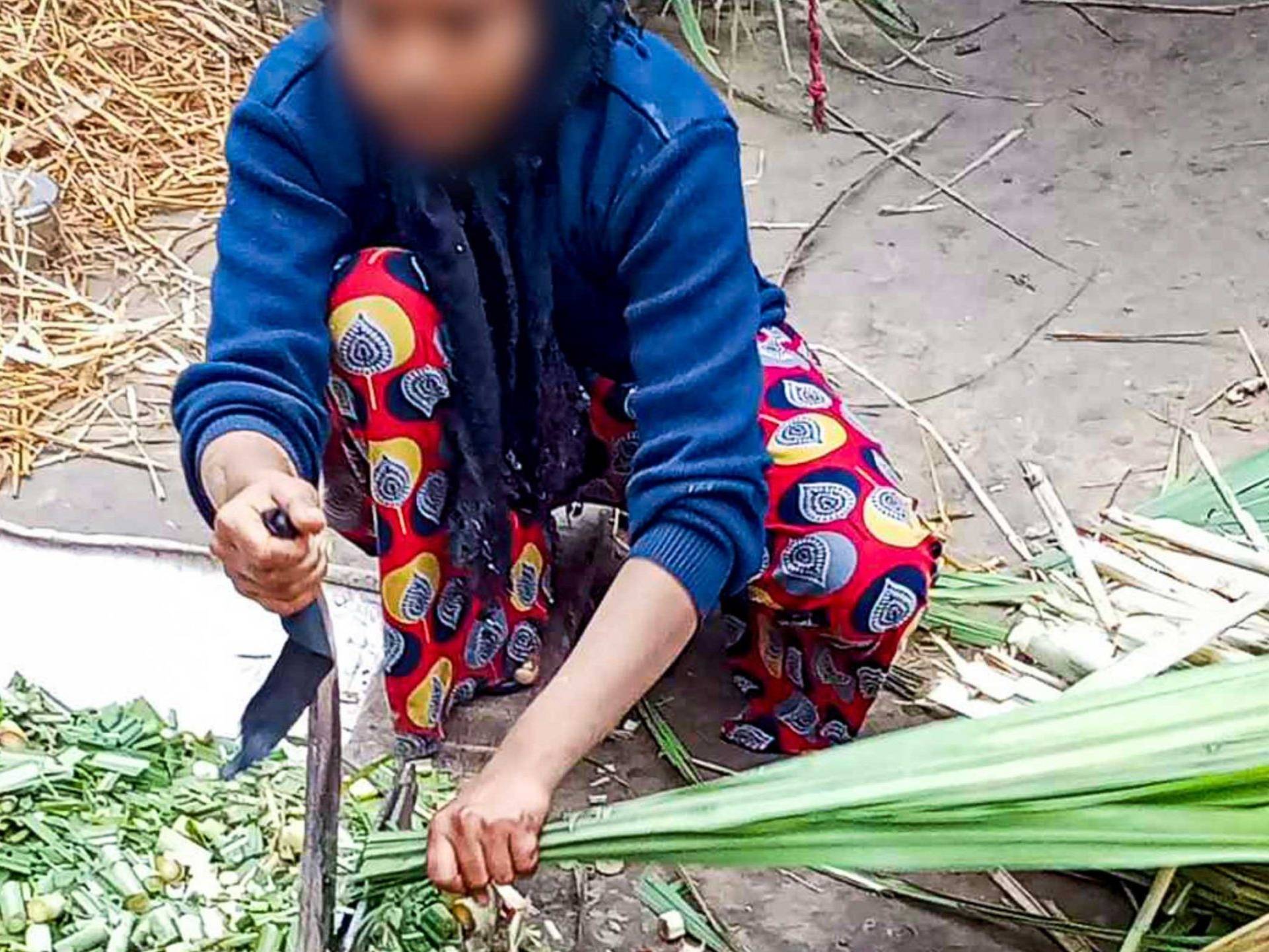A person is squatting outdoors on a sandy surface, wearing a blue jacket and colorful patterned pants. Face blurred for privacy. They are cutting green leafy stalks using a knife, surrounded by chopped greens and straw. The scene conveys rural, agricultural work.