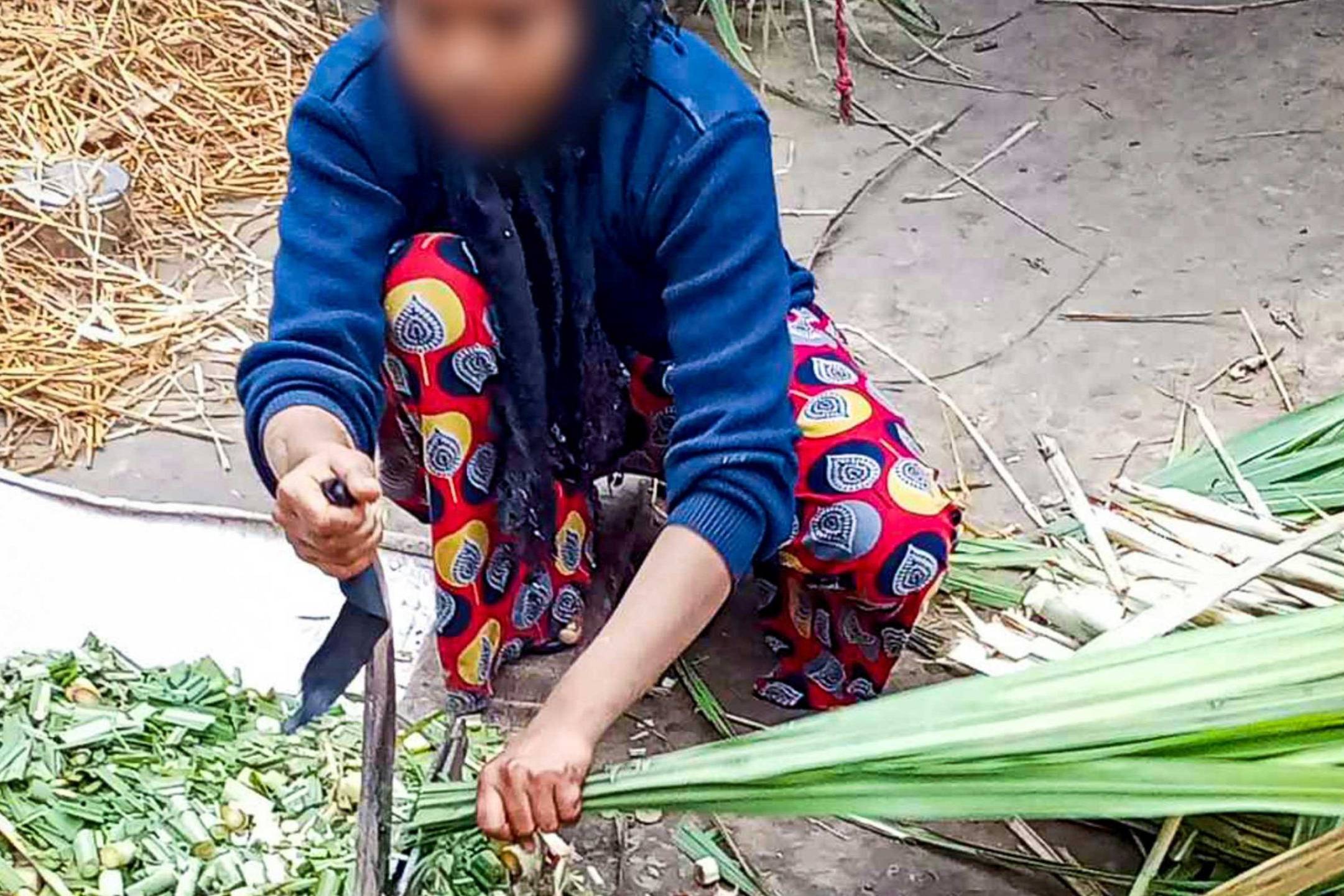A person is squatting outdoors on a sandy surface, wearing a blue jacket and colorful patterned pants. Face blurred for privacy. They are cutting green leafy stalks using a knife, surrounded by chopped greens and straw. The scene conveys rural, agricultural work.