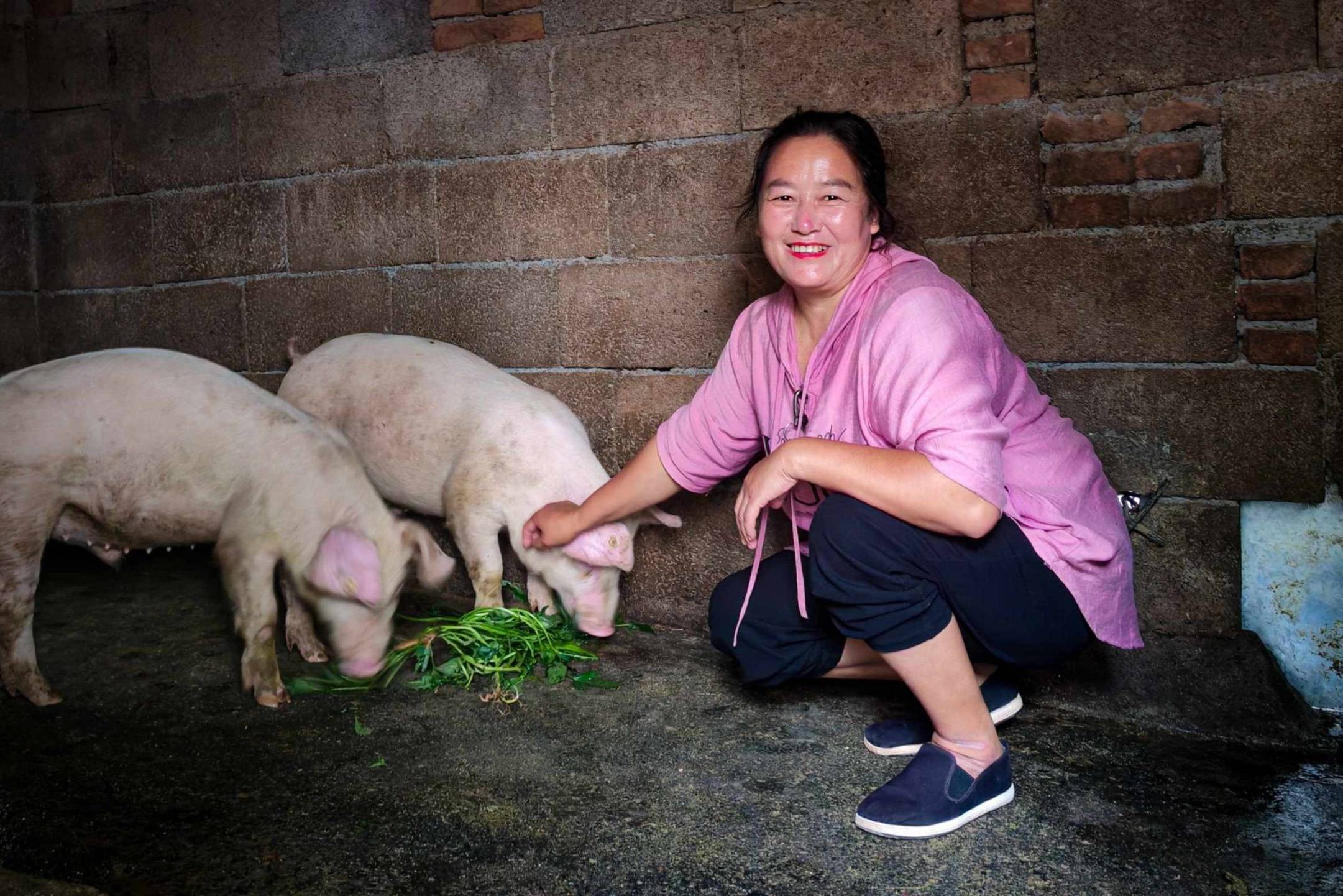 A woman in a pink jacket smiles while crouching next to two pigs eating greens in a barn. The setting is warm and rustic, conveying a joyful, pastoral scene.