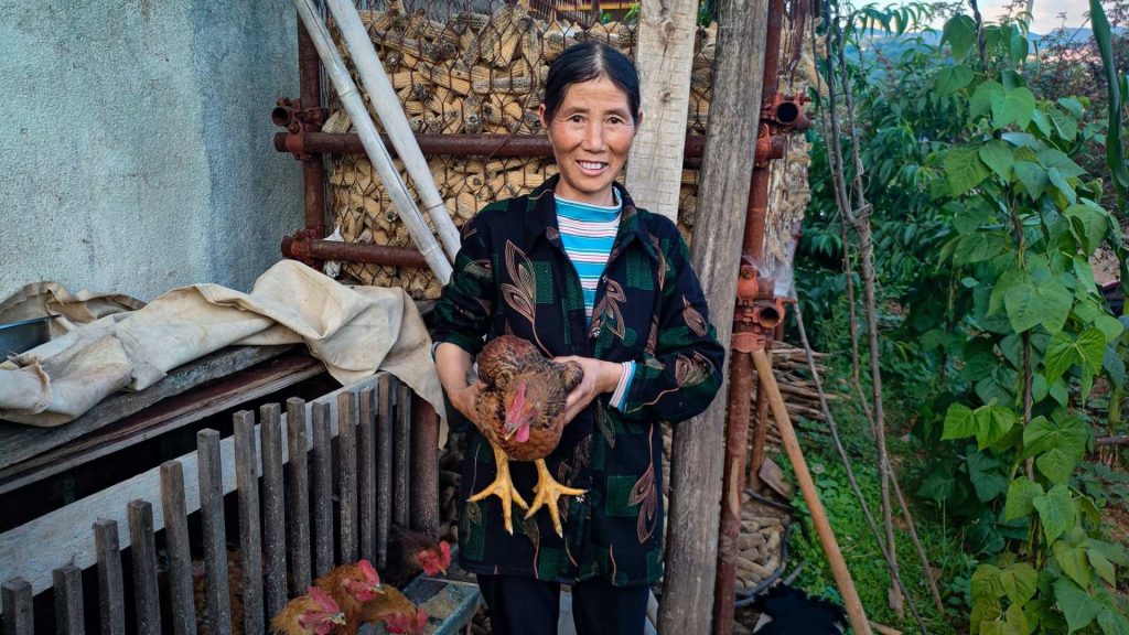 A smiling woman holds a brown chicken in a rustic outdoor setting, standing near a coop with more chickens. Green plants and wooden structures are visible.
