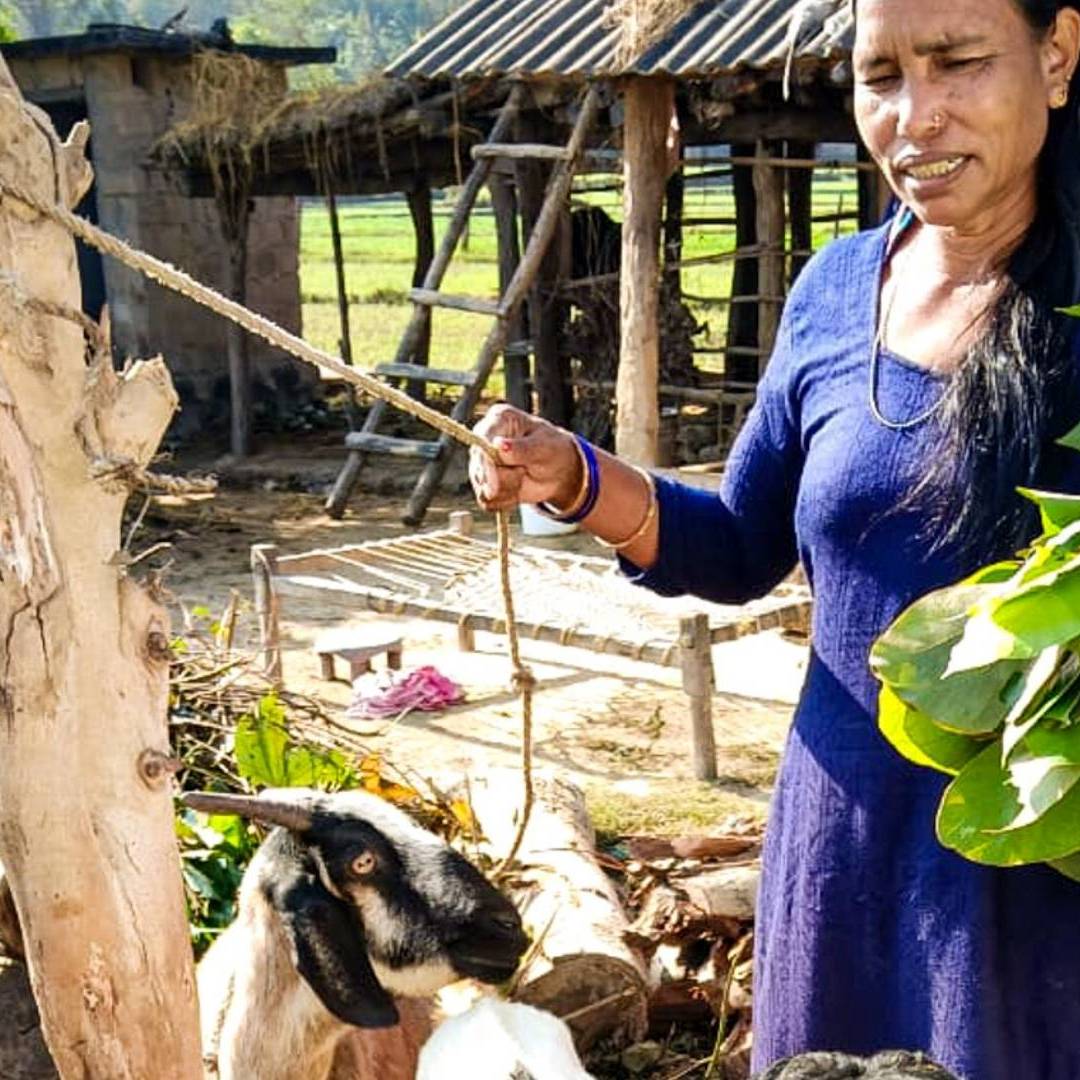 A woman in a blue dress smiles while holding a rope tied to a goat. She carries leafy greens with a rustic shed and greenery in the background.