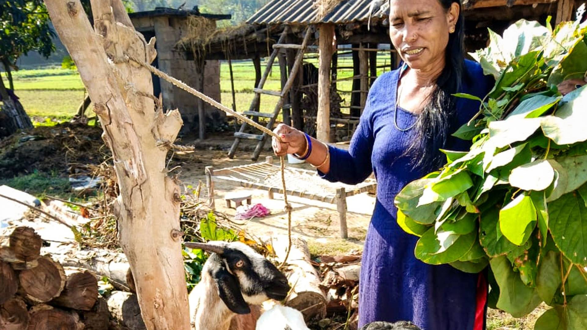 Pansari’s Life Outside of Motherhood – Captivating International