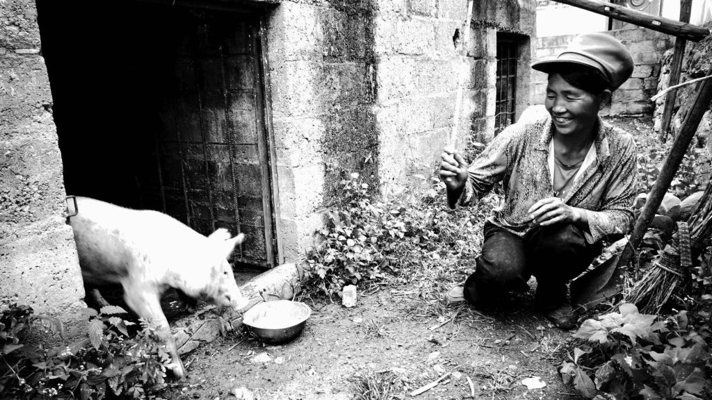 Black and white image of a person smiling and crouching beside a piglet at a rural pigpen. The person is holding a stick, creating a joyful scene.