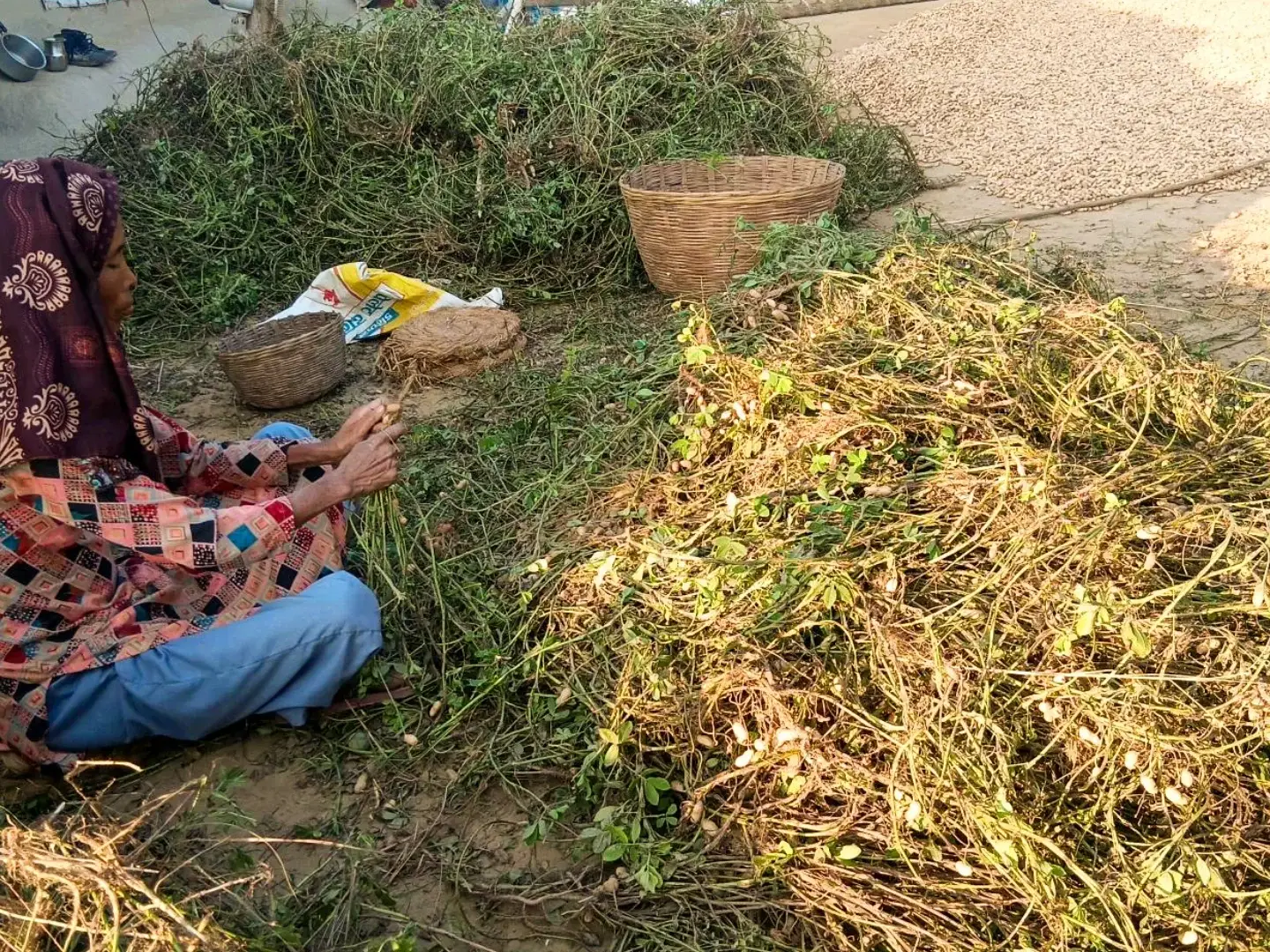 A woman in colorful attire and a headscarf sits on the ground, sorting through a large pile of green plants. Several woven baskets are nearby. The scene conveys a sense of focused productivity in an outdoor setting.