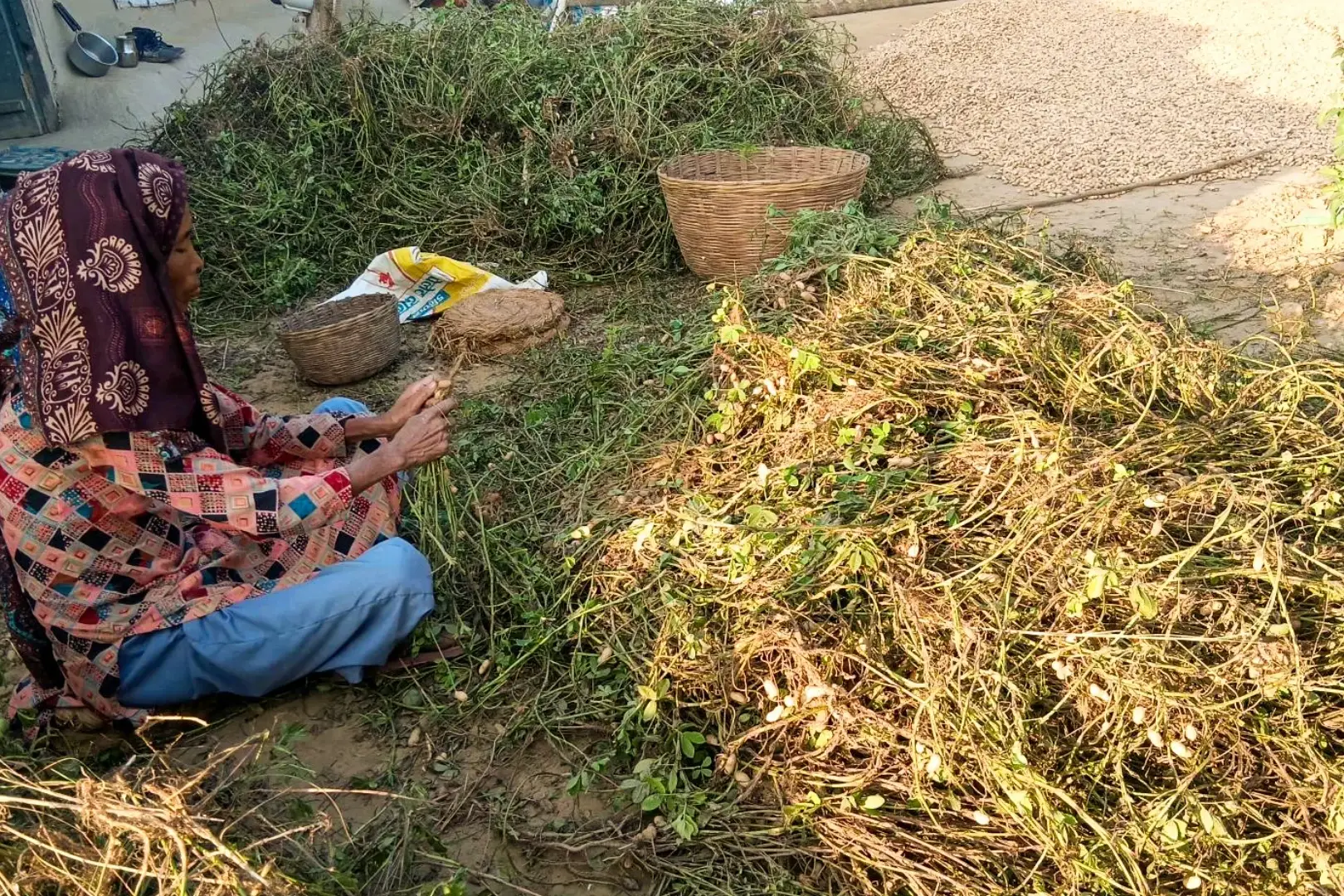 A woman in colorful attire and a headscarf sits on the ground, sorting through a large pile of green plants. Several woven baskets are nearby. The scene conveys a sense of focused productivity in an outdoor setting.