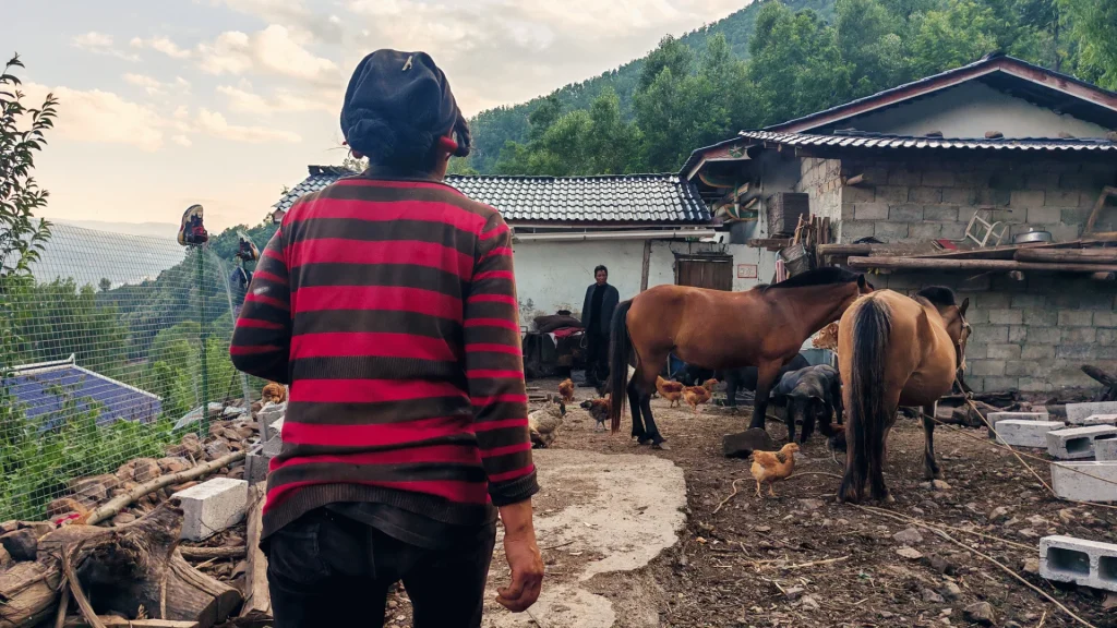A person strolling with two horses in a serene outdoor setting, featuring vibrant grass and a bright sky.