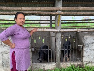 Woman standing in front of a cage with pigs 