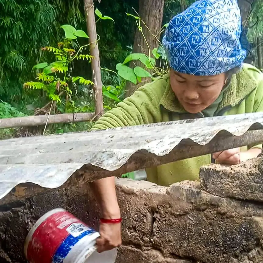 A woman in a blue patterned headscarf and green fleece pours liquid from a plastic bucket into a stone pigpen containing a brown pig in a rural area.