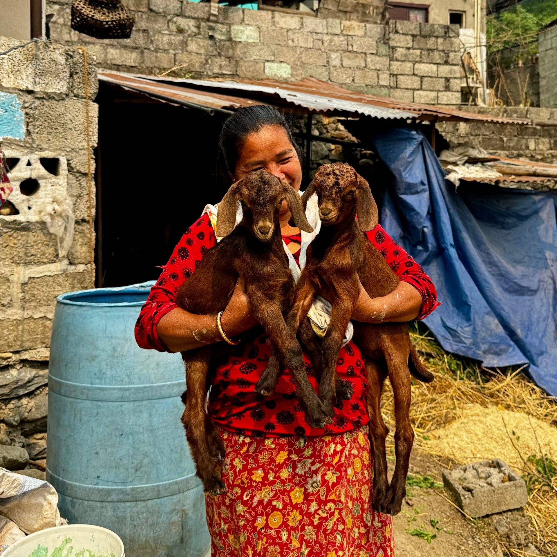 Nepali woman with goats