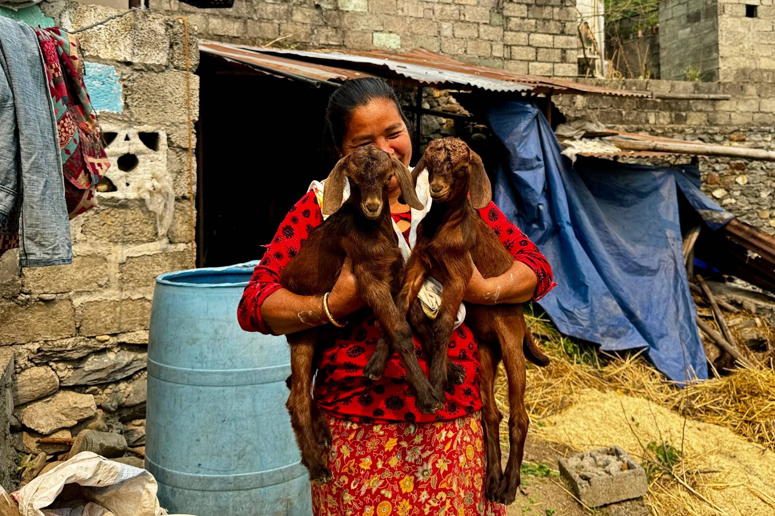 Nepali woman with goats