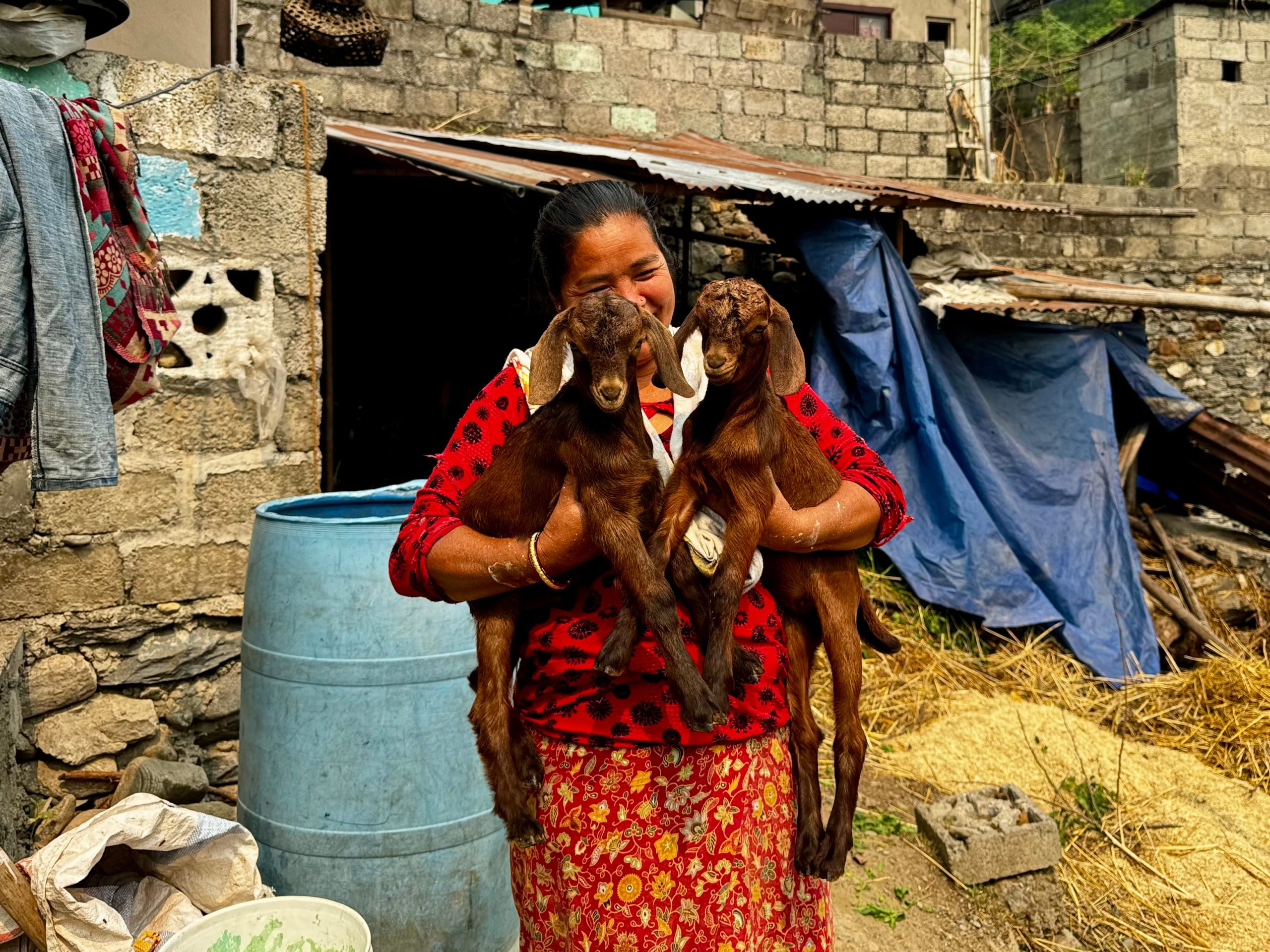 Nepali woman with goats