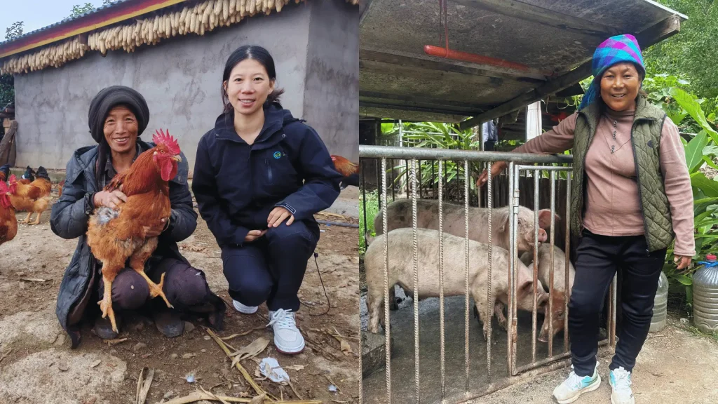 Two pictures of people with chickens and one of a person happily standing beside a pig on a farm.