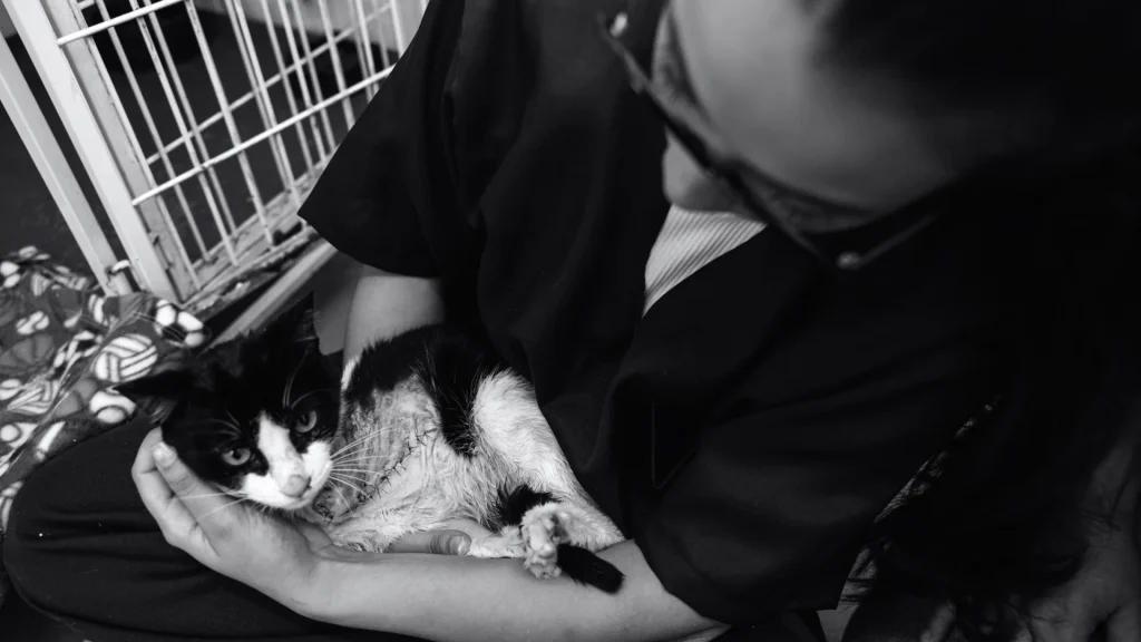 Black-and-white photo of a person gently cradling a relaxed black-and-white cat; a pet cage and patterned blanket appear in the background.