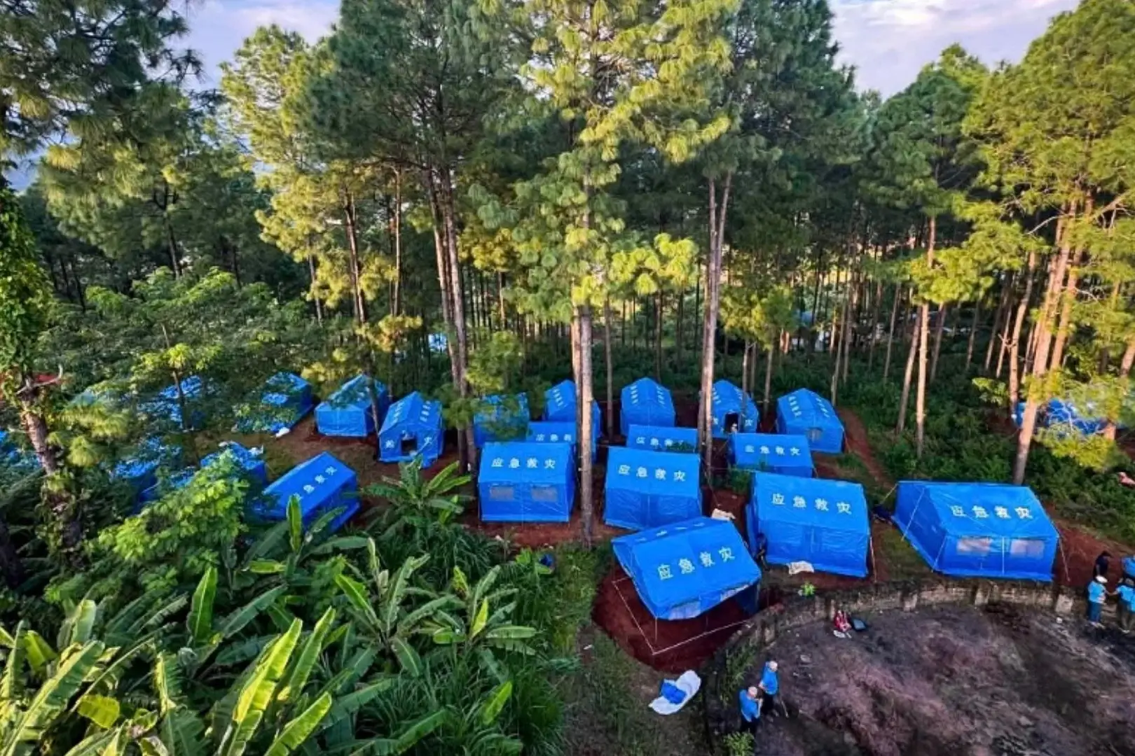 An aerial view shows many blue emergency relief tents set up in a wooded area among tall pine trees and lush green vegetation on a dirt ground in Nepal.