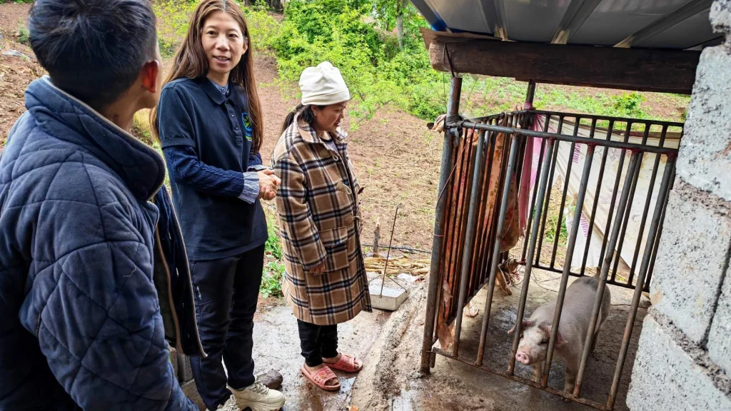 Three people inspect two pigs behind a rusty barred pen in a wooded rural setting in China, conveying concern and compassion for the animals.