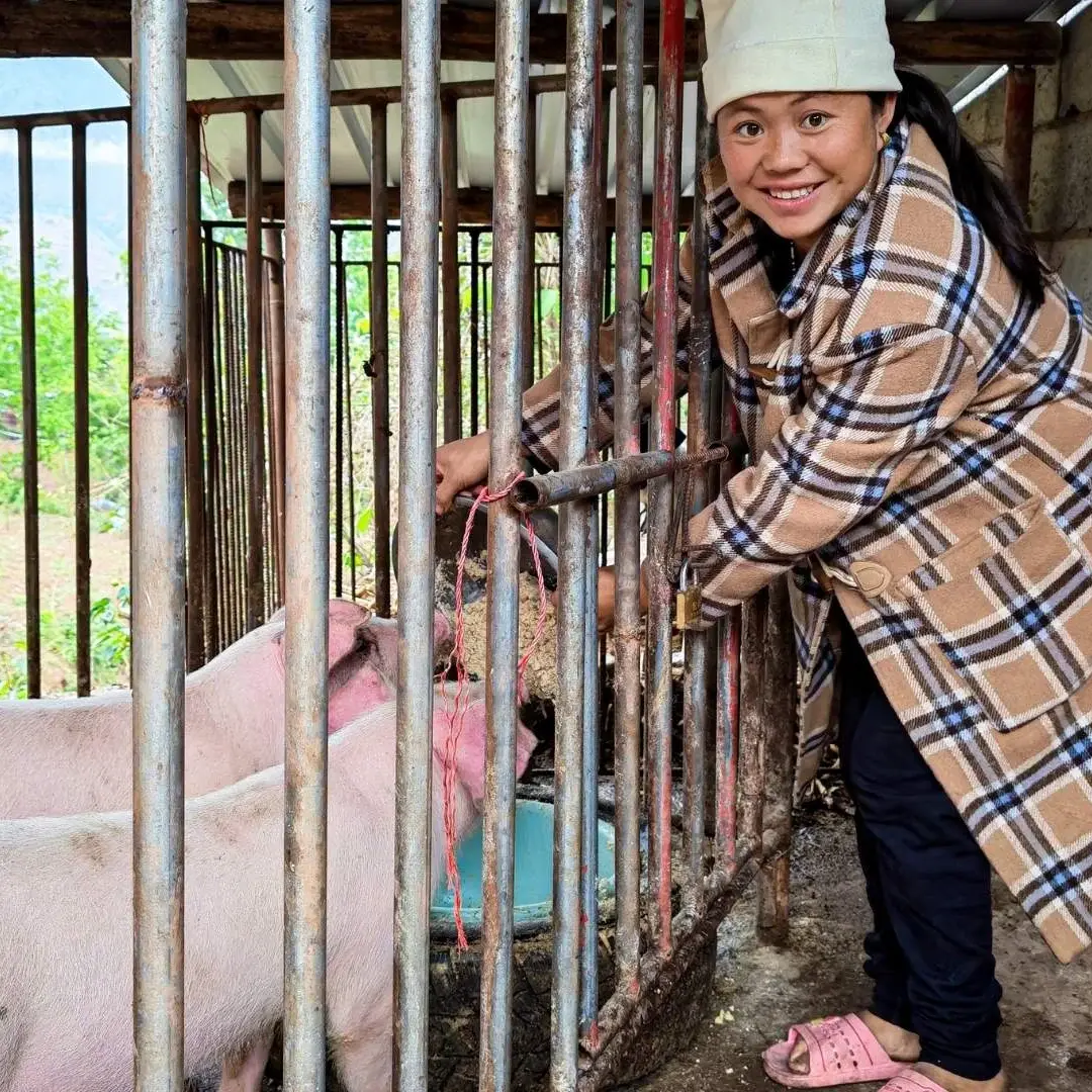 Smiling woman in a plaid coat and white hat reaches through metal pigpen bars to feed a pink pig inside a rustic rural farm shelter in China.
