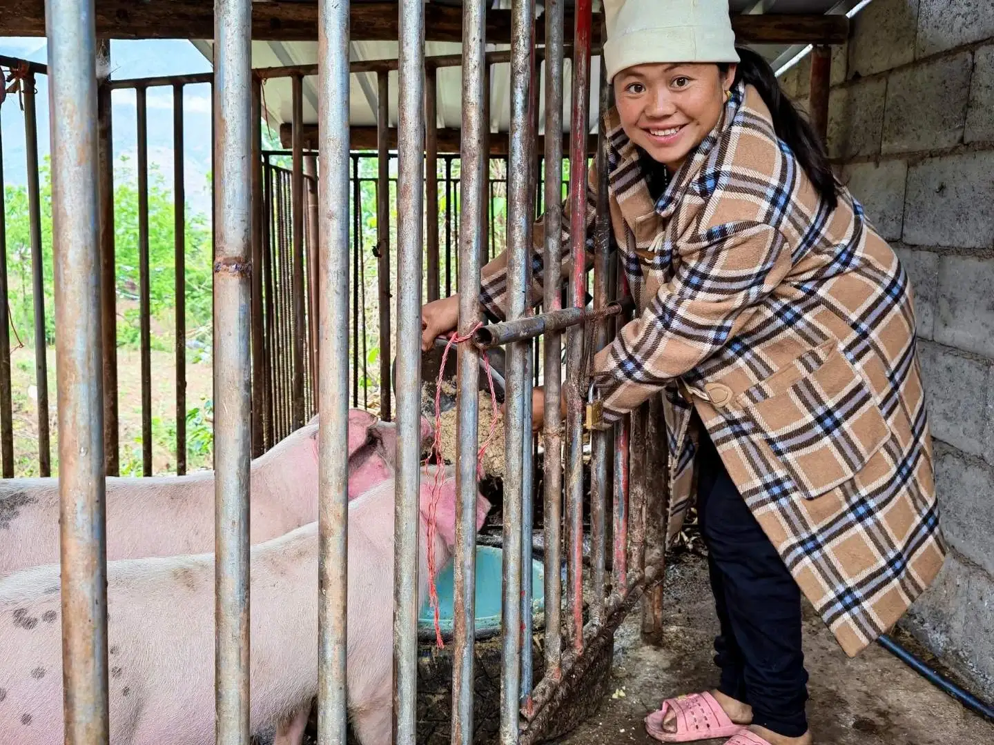 Smiling woman in a plaid coat and white hat reaches through metal pigpen bars to feed a pink pig inside a rustic rural farm shelter in China.