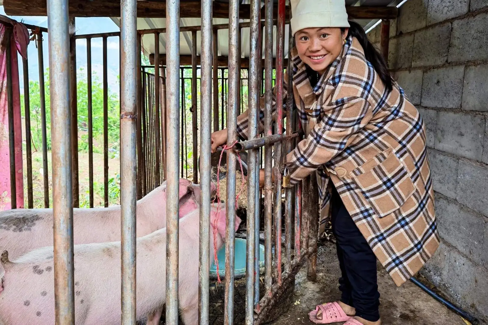 Smiling woman in a plaid coat and white hat reaches through metal pigpen bars to feed a pink pig inside a rustic rural farm shelter in China.